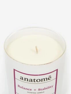 Fine Household Products -Fine Household Products 82965 F ANATOME ENERGY 2B STRENGTH CANDLE MULTI AW22 GOODHOOD 6839