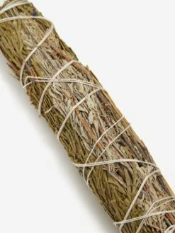 She's Lost Control Ritual Herb Bundle -Fine Household Products 93216 F SHE 27S LOST CONTROL RITUAL HERB BUNDLE SS23 GOODHOOD 33691