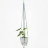 HAY Phanta Plant Hanger - Green