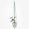 HAY Phanta Plant Hanger - Green