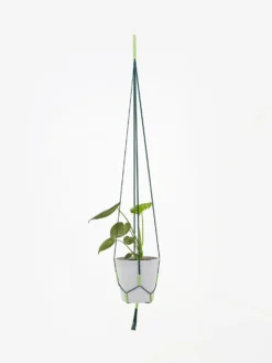 HAY Phanta Plant Hanger - Green