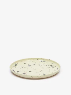 Liam Owen Lichen Glaze Handmade Dinner Plate - Green