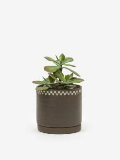 Mellow NYC Short Stout Planter - Dark Brown Small Embossed Painted Check -Fine Household Products MELLOW SHORT STOUT PLANTER DARK BROWN SMALL EMBOSSED PAINTED CHECK SS21 GOODHOOD 64362 c70aa4b0 ea26 45aa 9d91 ad994a2495ce