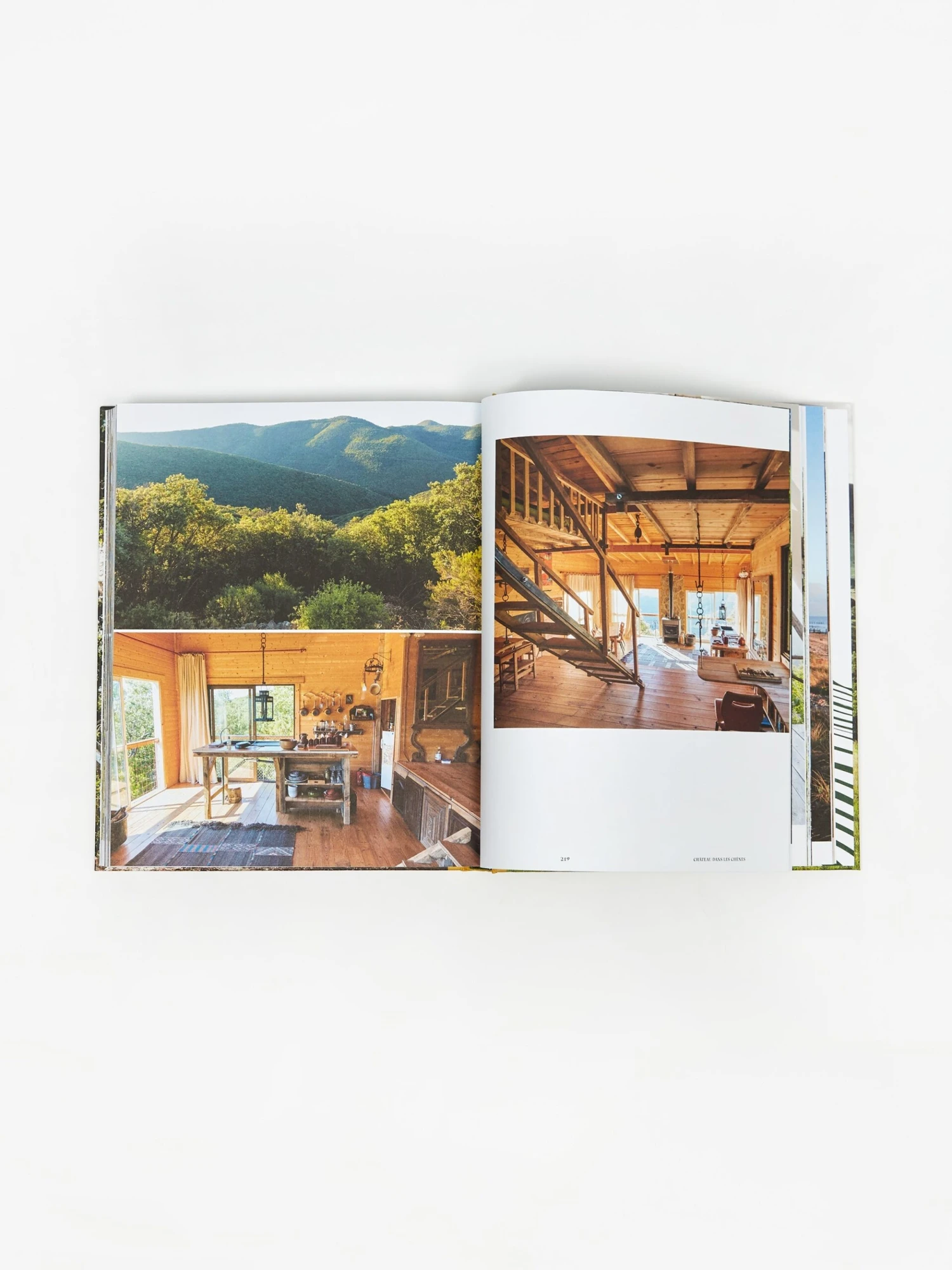 Stay Wild 4 Stay Wild - Image 4