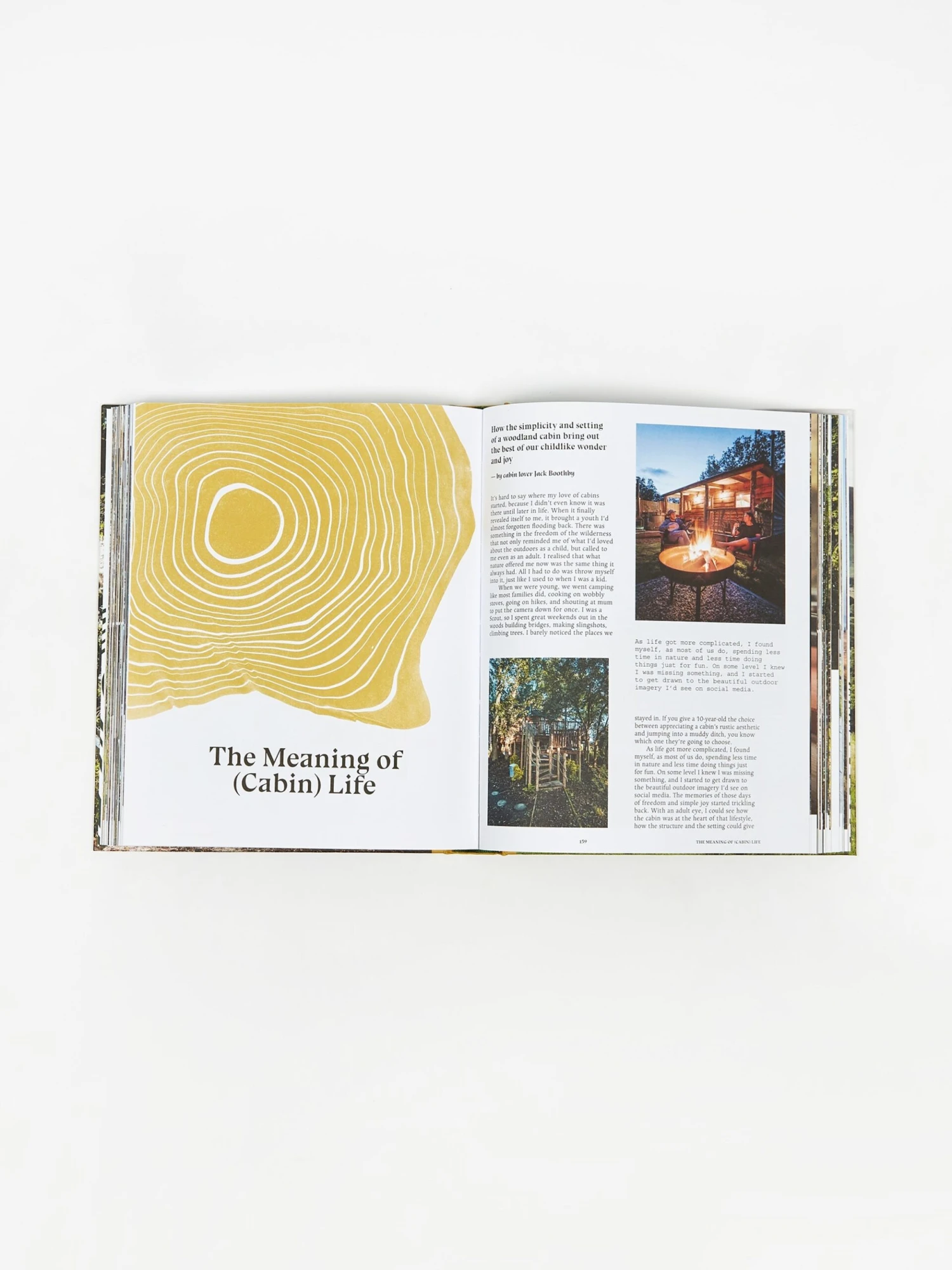 Stay Wild 2 Stay Wild - Image 2